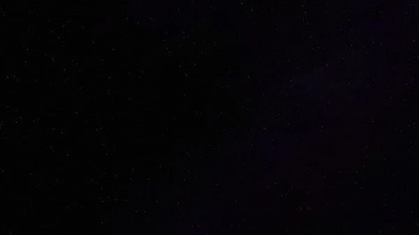 My hairy armpits and hairy pussy